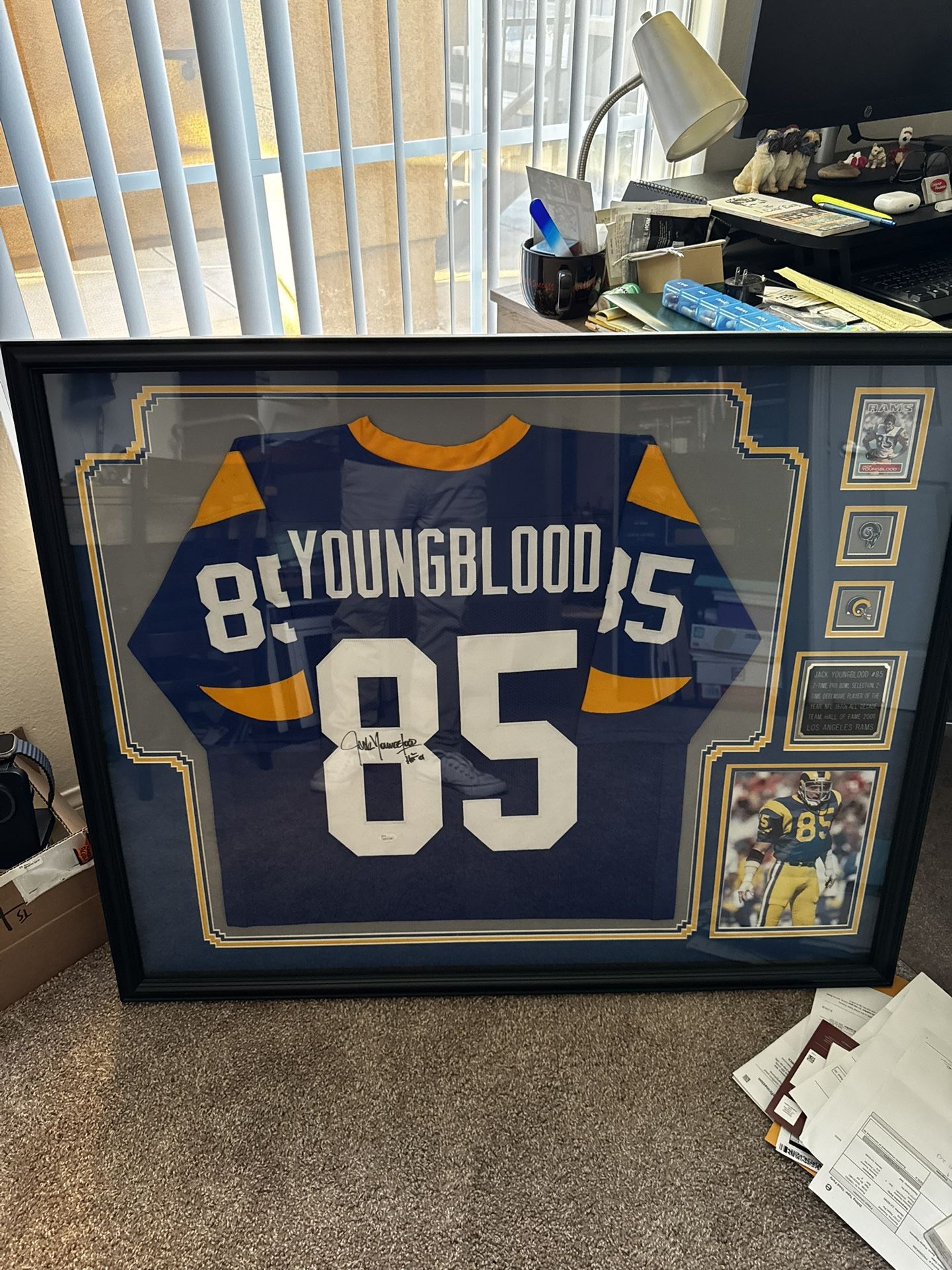 NFL Hall of Fame Jack Youngblood Framed Jersey Authentic 