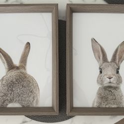 Cute Bunny Framed Prints!!