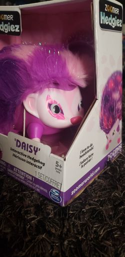 DAISY interactive Hedgehog $7