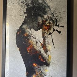 Framed Artwork 38x26