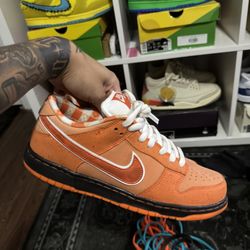 Nike Sb Dunk Low 