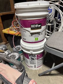 Paint (Swiss Coffee )