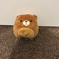 Stuffed Animal Plushie 