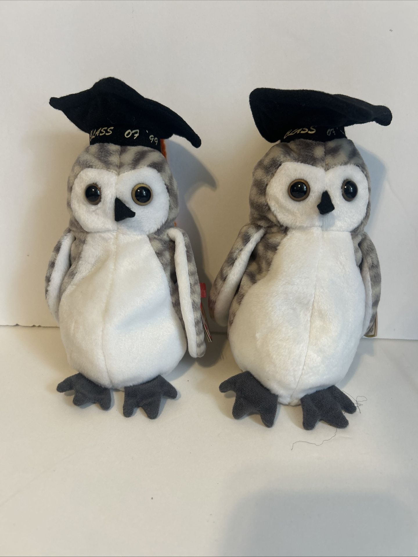 TY Beanie Babies (1)