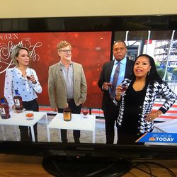 Panasonic 32 Inch Tv