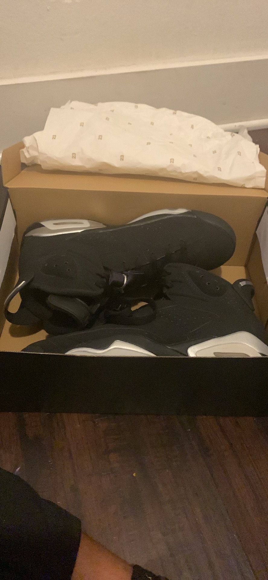 Jordan 6 Mattalic Silver