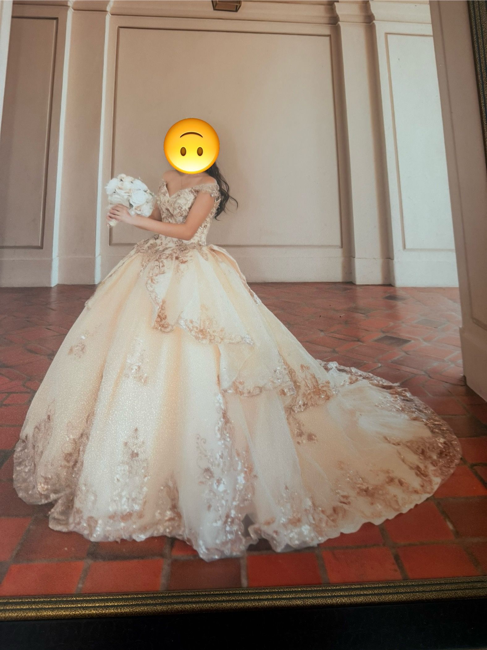 quinceanera Dress