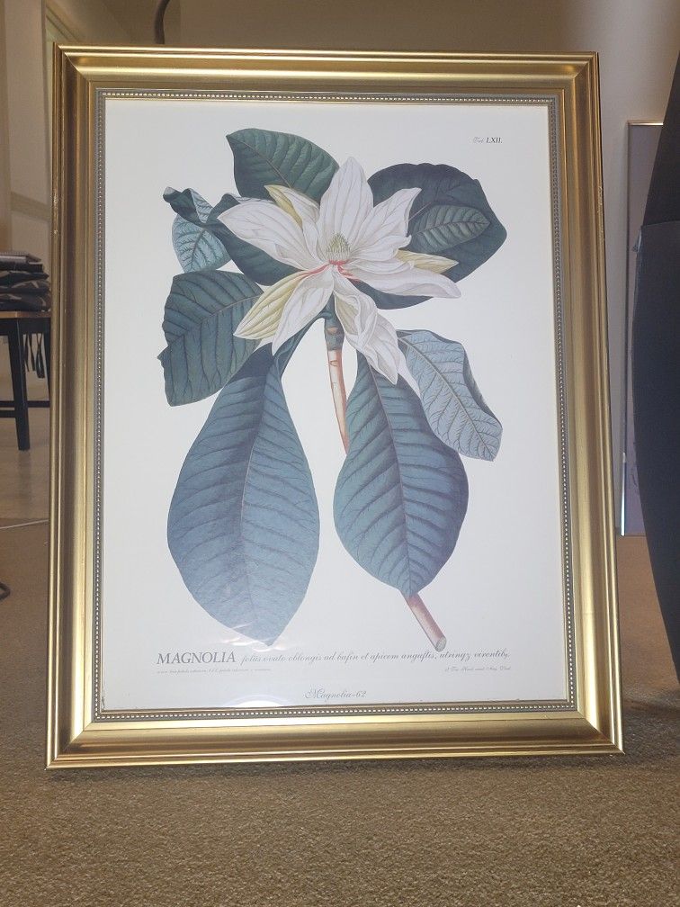 Floral Picture 28×21