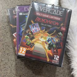 EVERCADE MULTIGAME CARTRIDGES