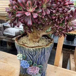 14” Tall Ceramic Imported Pot With 14” Crested Medusa $125
