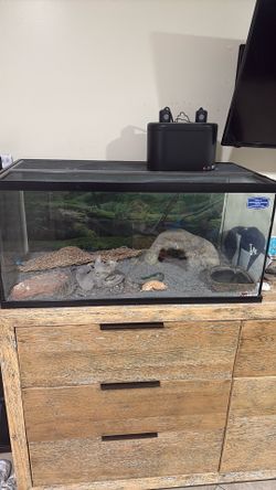 Reptile tank all included