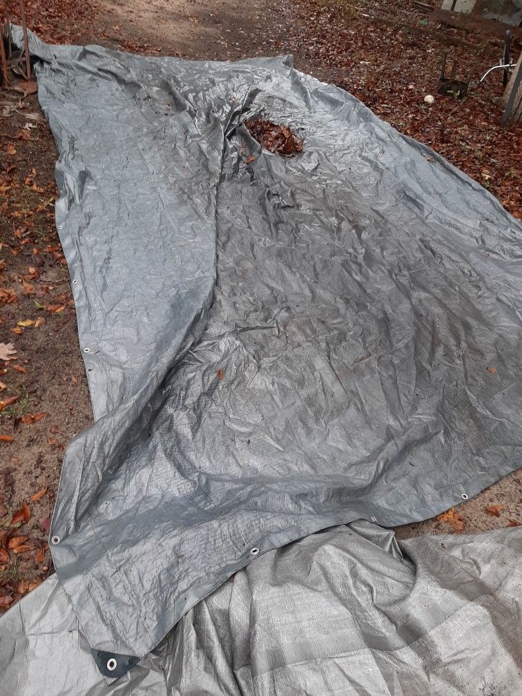 Tarp