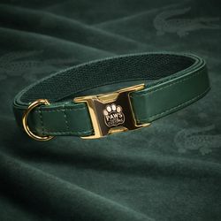 Luxury Custom Dog Collar + Engraved Tag (QR Code) – Same Day Delivery 661