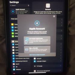 iPad Air 4 Cellular 