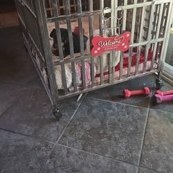 Dog Kennel 