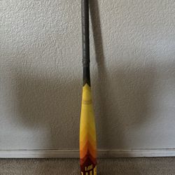 Easton Hype Baseball Bat