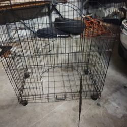 Bird Cages