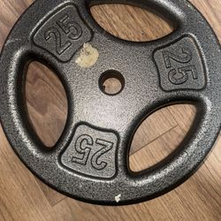25 Pound Metal Plate