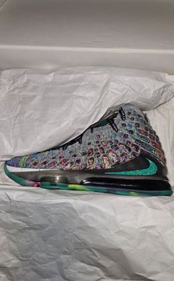 LeBron 17   "I Promise"