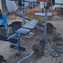Weight Bench