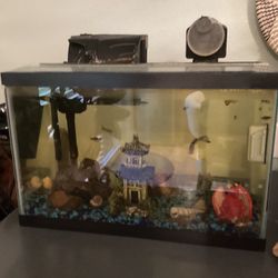 5.5 Gallon Fish Tank With Fish