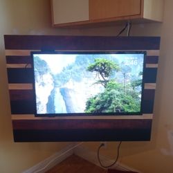 Insignia 32" HD Fire TV/wall Bracket