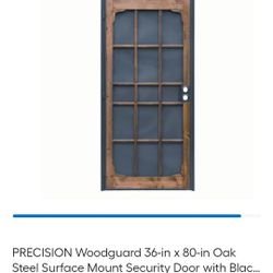 Woodguard Steel Security Door