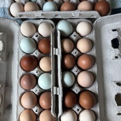 Eggs from Happy Chickens