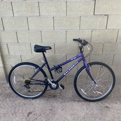 Mountain Bike
