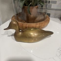 Brass Duck