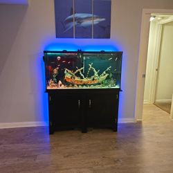 65 Gallon Fish Tank With Everything in picture