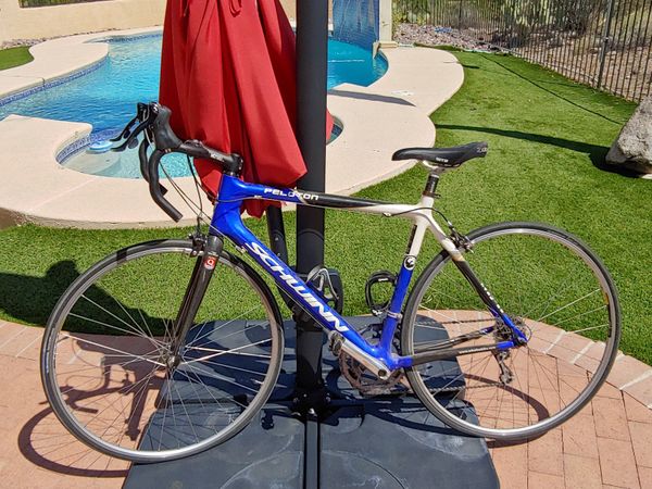 schwinn carbon fiber road bike