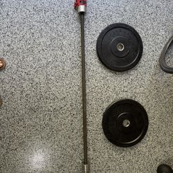 Olympic Barbell, Two 15 Pound Bumper Plates And Two Clips