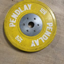 Pair of 15 kg Pendlay Olympic Weight Plates – Used