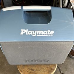 Playmate Ice Cooler Box