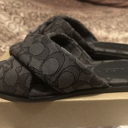 NEW-COACH