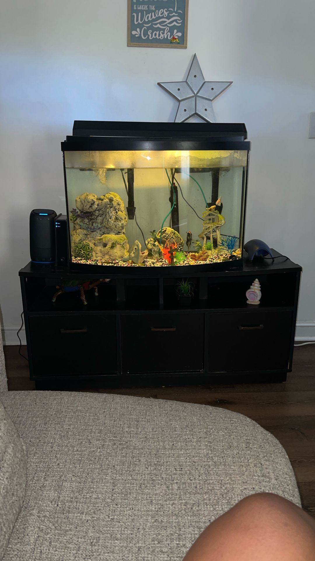 55 Gallon Tank