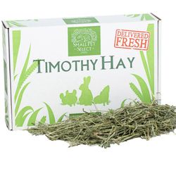  Timothy Hay  