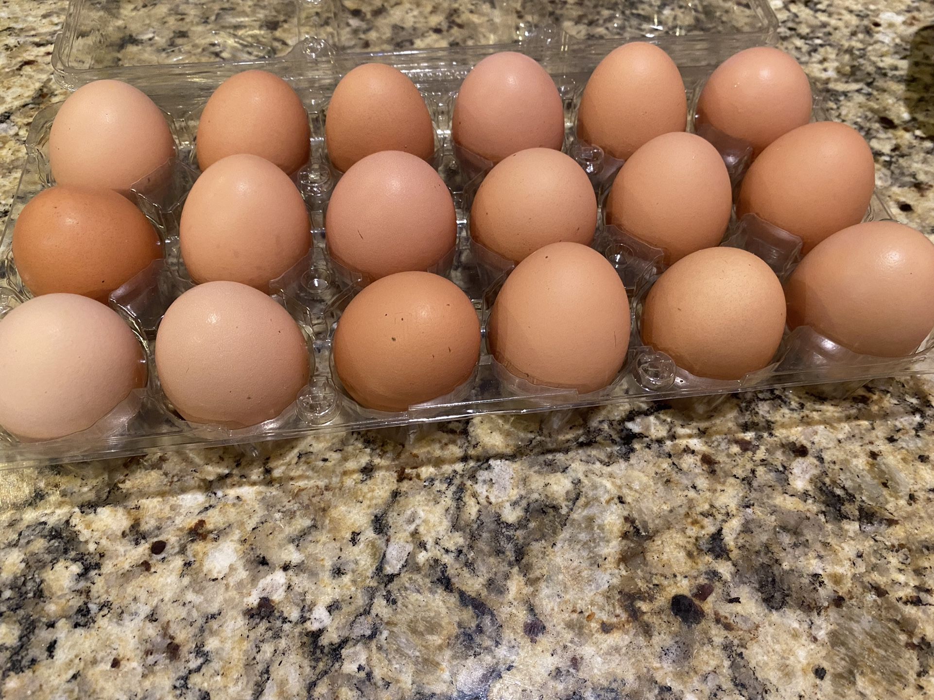 Chicken Eggs