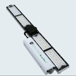 Raging Kale II LED Grow Light