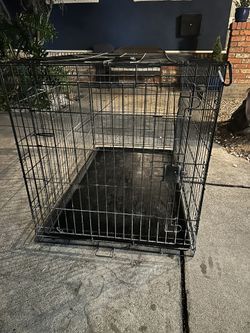 Dog Crate