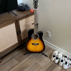 Washburn Guitar 