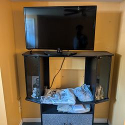 Lg 39-In HD TV and TV stand. No remote. Works with no issues.