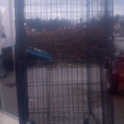Ferret Or Critter Cage