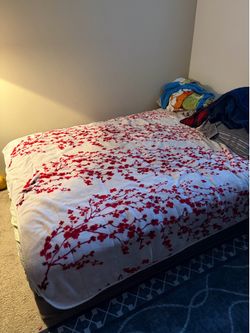 Sealy - Queen Mattress & Base