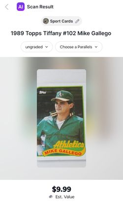 Mike Gallegos Baseball Card 