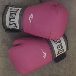 Everlast Boxing Gloves 12oz