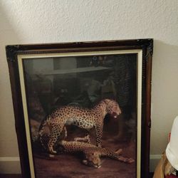 Picture Frame