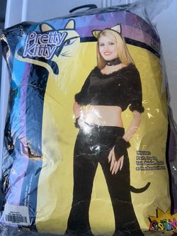 Adult Kitty Costume