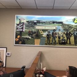 Looking for old solar water heating panels